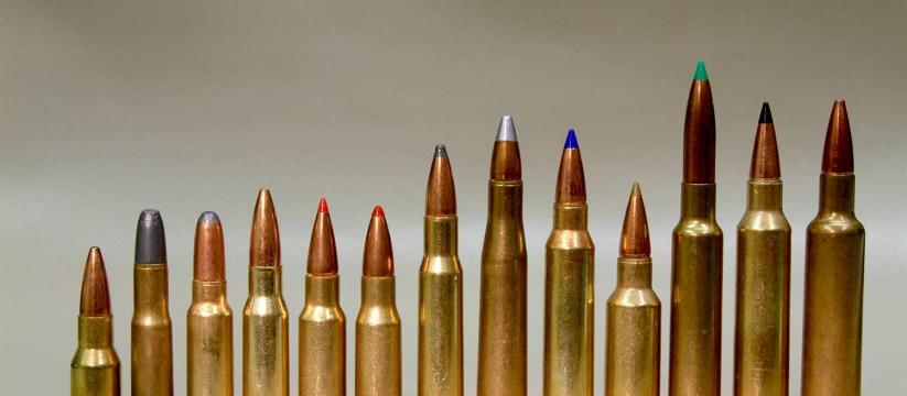Firearm enthusiasts coalition